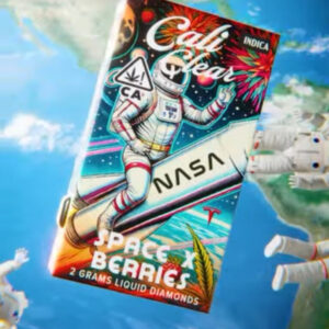 space x berries 2g disposable